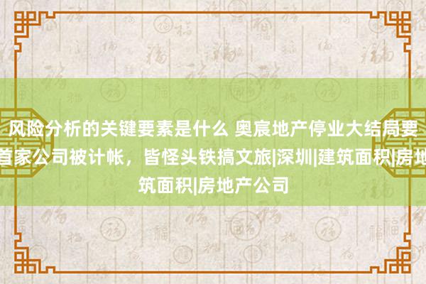 风险分析的关键要素是什么 奥宸地产停业大结局要来了，首家公司被计帐，皆怪头铁搞文旅|深圳|建筑面积|房地产公司