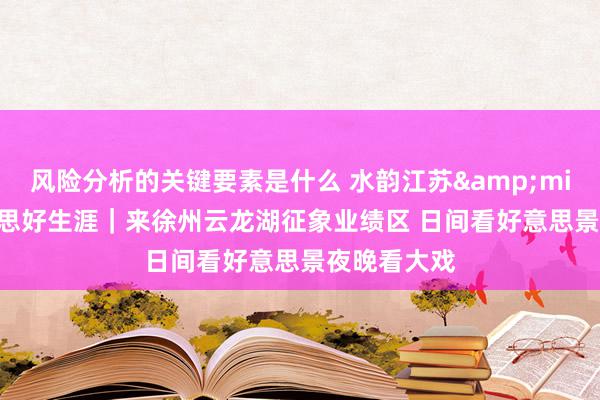 风险分析的关键要素是什么 水韵江苏&middot;好意思好生涯｜来徐州云龙湖征象业绩区 日间看好意思景夜晚看大戏