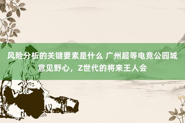 风险分析的关键要素是什么 广州超等电竞公园城意见野心，Z世代的将来王人会