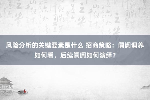 风险分析的关键要素是什么 招商策略：阛阓调养如何看，后续阛阓如何演绎？