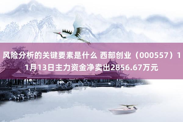 风险分析的关键要素是什么 西部创业（000557）11月13日主力资金净卖出2856.67万元