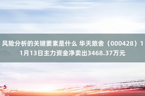 风险分析的关键要素是什么 华天旅舍（000428）11月13日主力资金净卖出3468.37万元