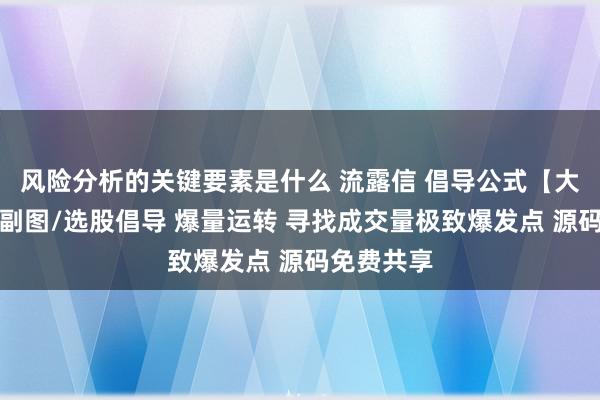 风险分析的关键要素是什么 流露信 倡导公式【大牛捕手】副图/选股倡导 爆量运转 寻找成交量极致爆发点 源码免费共享