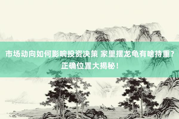 市场动向如何影响投资决策 家里摆龙龟有啥持重？正确位置大揭秘！