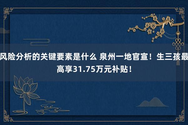 风险分析的关键要素是什么 泉州一地官宣！生三孩最高享31.75万元补贴！