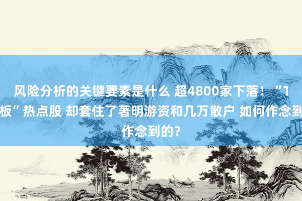 风险分析的关键要素是什么 超4800家下落！“10连板”热点股 却套住了著明游资和几万散户 如何作念到的？