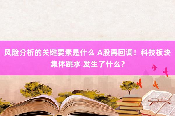 风险分析的关键要素是什么 A股再回调！科技板块集体跳水 发生了什么？