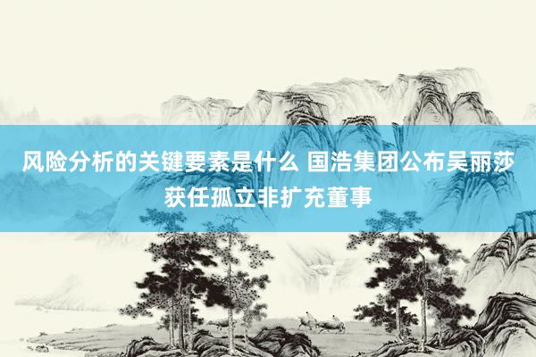 风险分析的关键要素是什么 国浩集团公布吴丽莎获任孤立非扩充董事