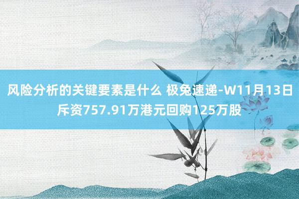 风险分析的关键要素是什么 极兔速递-W11月13日斥资757.91万港元回购125万股