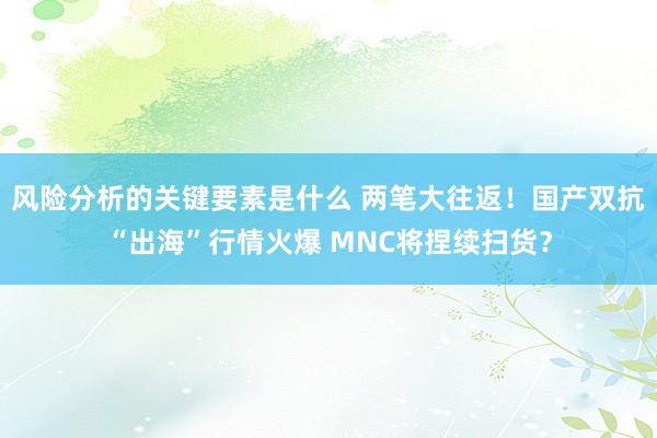 风险分析的关键要素是什么 两笔大往返！国产双抗“出海”行情火爆 MNC将捏续扫货？