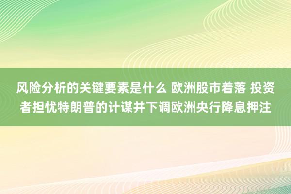 风险分析的关键要素是什么 欧洲股市着落 投资者担忧特朗普的计谋并下调欧洲央行降息押注