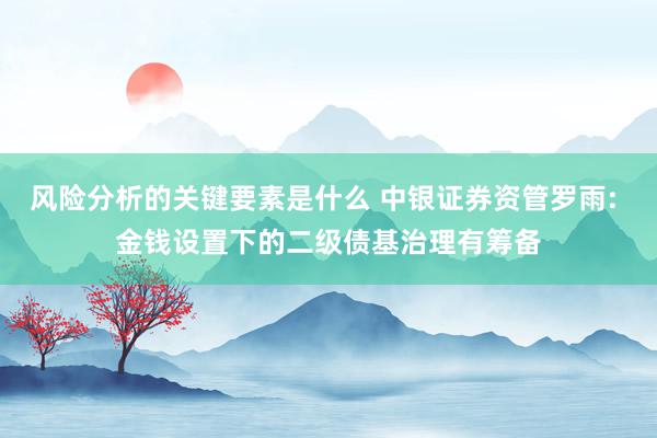 风险分析的关键要素是什么 中银证券资管罗雨: 金钱设置下的二级债基治理有筹备