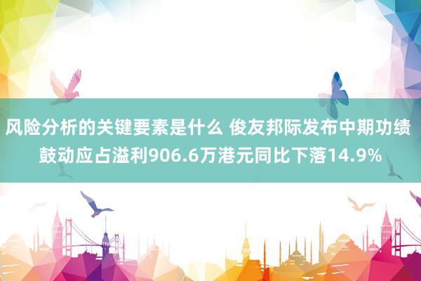 风险分析的关键要素是什么 俊友邦际发布中期功绩 鼓动应占溢利906.6万港元同比下落14.9%