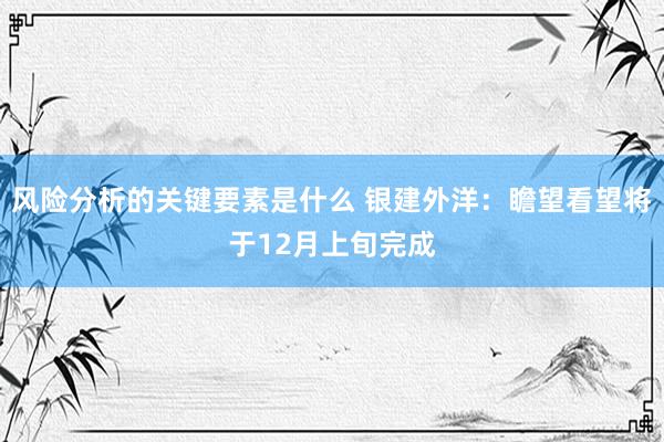 风险分析的关键要素是什么 银建外洋：瞻望看望将于12月上旬完成