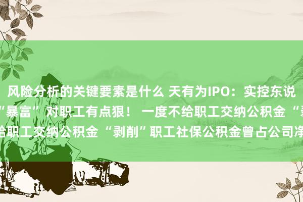 风险分析的关键要素是什么 天有为IPO：实控东说念主夫妇抓股近90%将“暴富” 对职工有点狠！ 一度不给职工交纳公积金 “剥削”职工社保公积金曾占公司净利约60