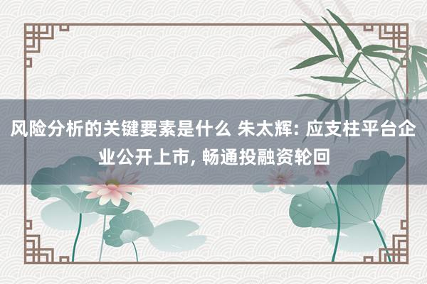 风险分析的关键要素是什么 朱太辉: 应支柱平台企业公开上市, 畅通投融资轮回