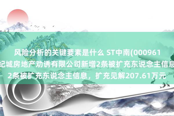 风险分析的关键要素是什么 ST中南(000961)控股的南通海门中南世纪城房地产劝诱有限公司新增2条被扩充东说念主信息，扩充见解207.61万元