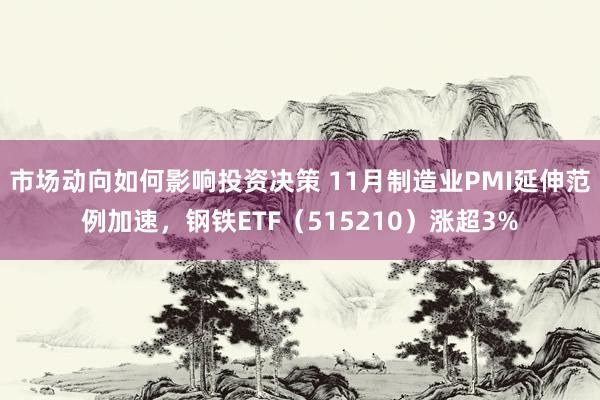 市场动向如何影响投资决策 11月制造业PMI延伸范例加速，钢铁ETF（515210）涨超3%