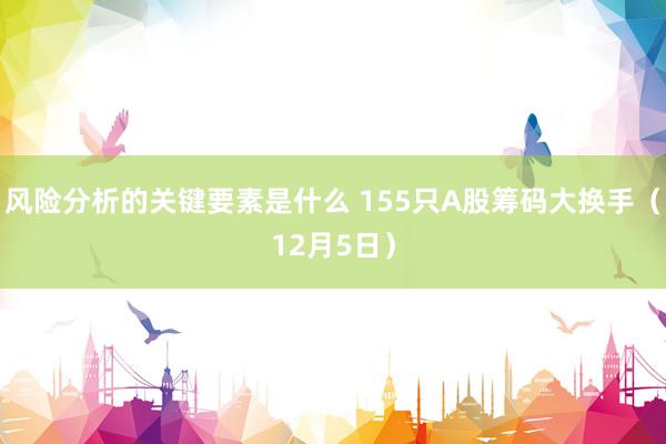 风险分析的关键要素是什么 155只A股筹码大换手（12月5日）