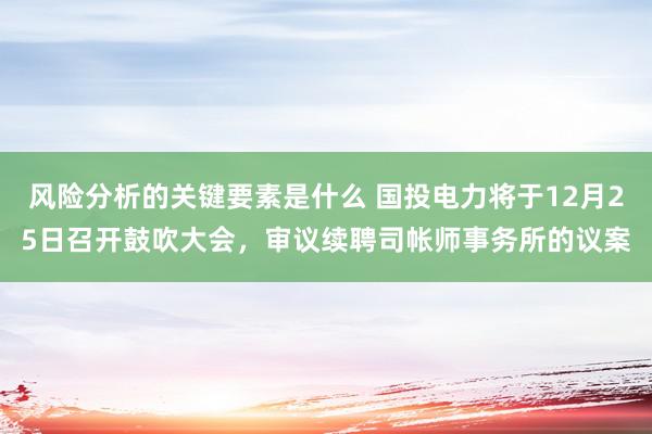 风险分析的关键要素是什么 国投电力将于12月25日召开鼓吹大会，审议续聘司帐师事务所的议案