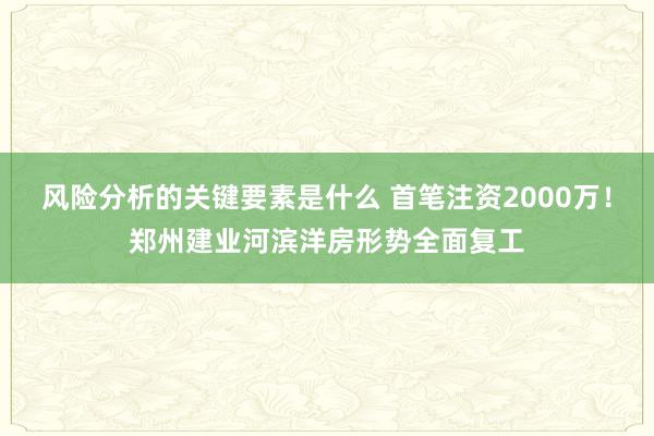 风险分析的关键要素是什么 首笔注资2000万！郑州建业河滨洋房形势全面复工