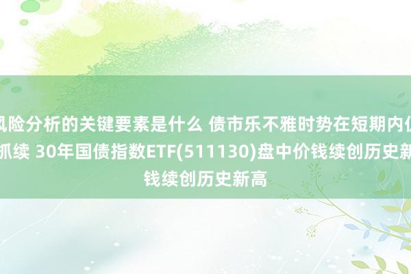 风险分析的关键要素是什么 债市乐不雅时势在短期内仍会抓续 30年国债指数ETF(511130)盘中价钱续创历史新高