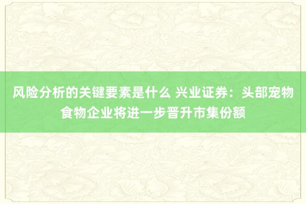 风险分析的关键要素是什么 兴业证券：头部宠物食物企业将进一步晋升市集份额