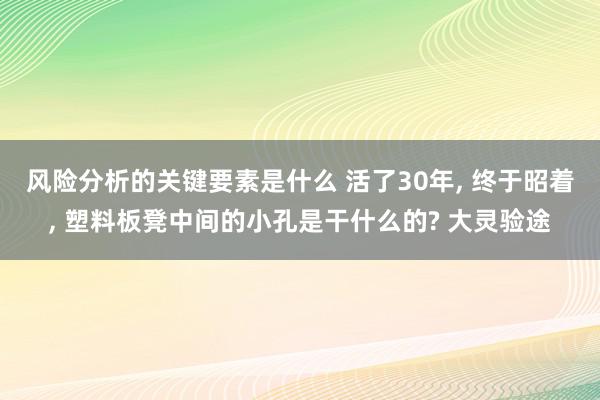 风险分析的关键要素是什么 活了30年, 终于昭着, 塑料板凳中间的小孔是干什么的? 大灵验途