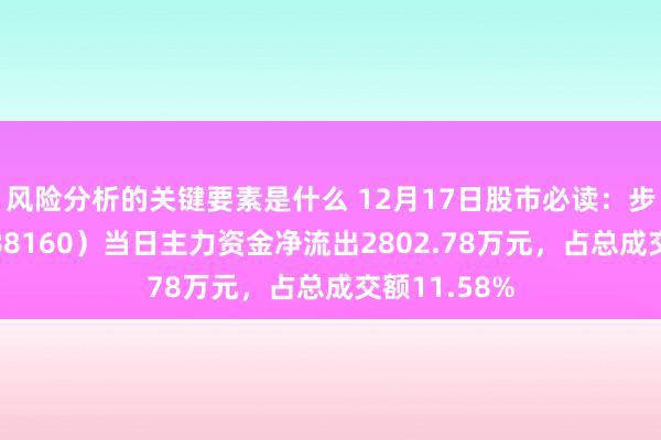 风险分析的关键要素是什么 12月17日股市必读：步科股份（688160）当日主力资金净流出2802.78万元，占总成交额11.58%