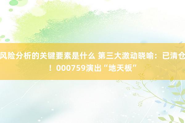 风险分析的关键要素是什么 第三大激动晓喻：已清仓！000759演出“地天板”