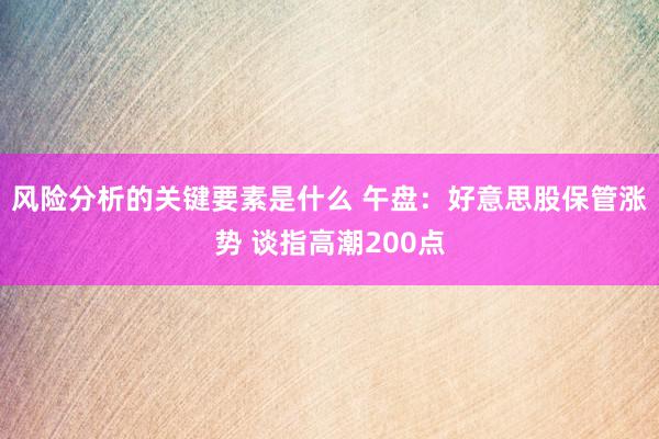 风险分析的关键要素是什么 午盘：好意思股保管涨势 谈指高潮200点