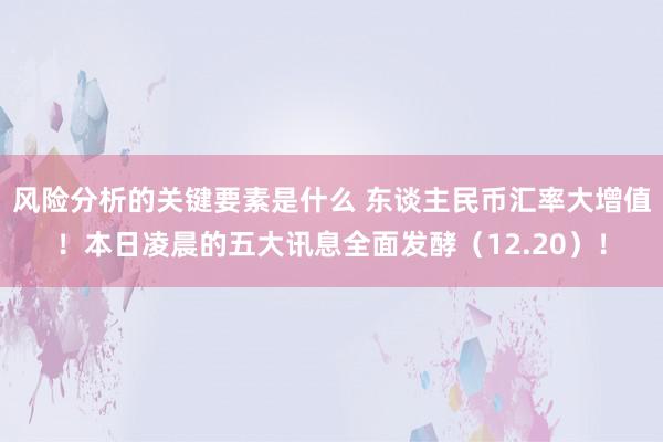 风险分析的关键要素是什么 东谈主民币汇率大增值！本日凌晨的五大讯息全面发酵（12.20）！