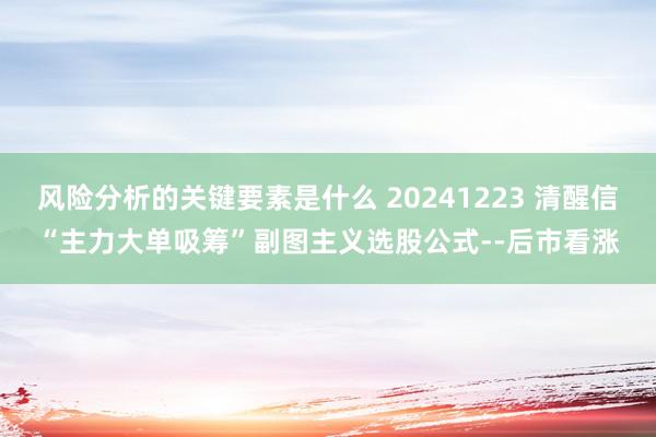 风险分析的关键要素是什么 20241223 清醒信“主力大单吸筹”副图主义选股公式--后市看涨