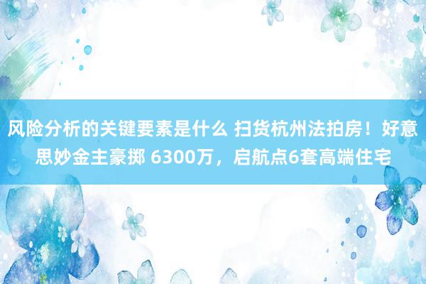 风险分析的关键要素是什么 扫货杭州法拍房！好意思妙金主豪掷 6300万，启航点6套高端住宅