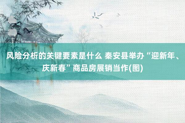 风险分析的关键要素是什么 秦安县举办“迎新年、庆新春”商品房展销当作(图)