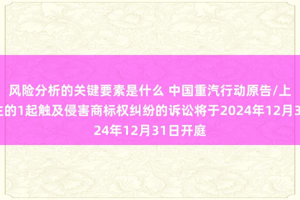 风险分析的关键要素是什么 中国重汽行动原告/上诉东谈主的1起触及侵害商标权纠纷的诉讼将于2024年12月31日开庭