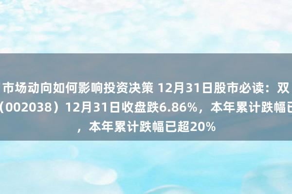 市场动向如何影响投资决策 12月31日股市必读：双鹭药业（002038）12月31日收盘跌6.86%，本年累计跌幅已超20%