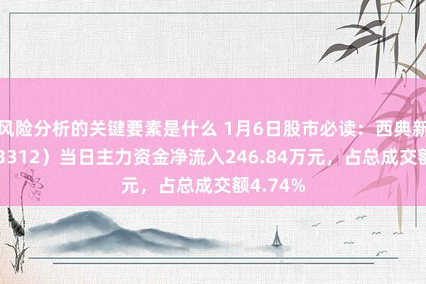 风险分析的关键要素是什么 1月6日股市必读：西典新能（603312）当日主力资金净流入246.84万元，占总成交额4.74%