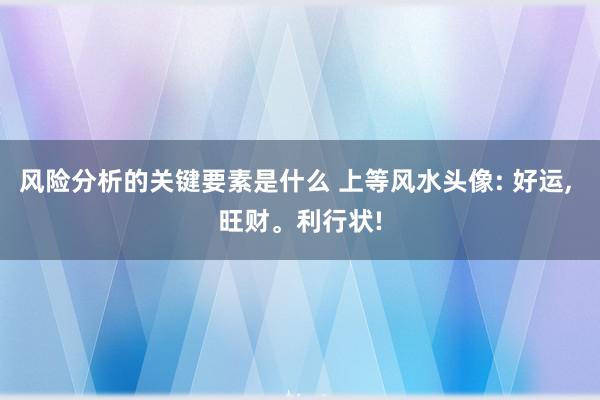 风险分析的关键要素是什么 上等风水头像: 好运, 旺财。利行状!