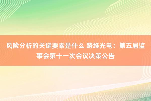 风险分析的关键要素是什么 路维光电：第五届监事会第十一次会议决策公告