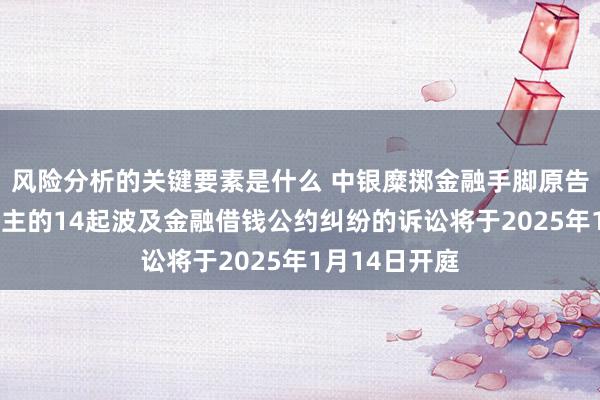 风险分析的关键要素是什么 中银糜掷金融手脚原告/上诉东说念主的14起波及金融借钱公约纠纷的诉讼将于2025年1月14日开庭