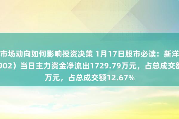 市场动向如何影响投资决策 1月17日股市必读：新洋丰（000902）当日主力资金净流出1729.79万元，占总成交额12.67%