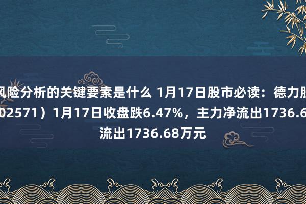 风险分析的关键要素是什么 1月17日股市必读：德力股份（002571）1月17日收盘跌6.47%，主力净流出1736.68万元