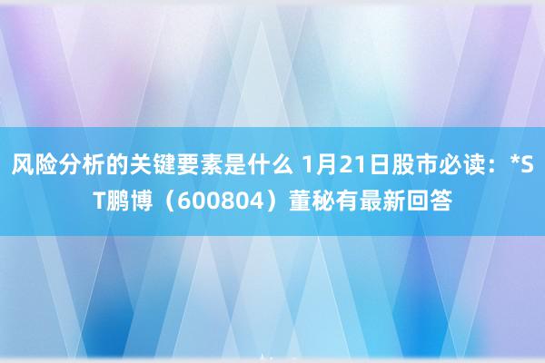 风险分析的关键要素是什么 1月21日股市必读：*ST鹏博（600804）董秘有最新回答