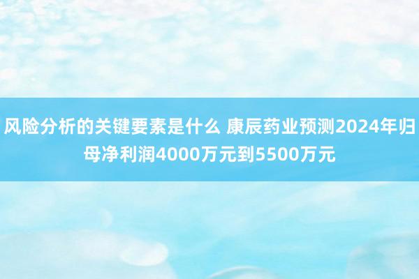 风险分析的关键要素是什么 康辰药业预测2024年归母净利润4000万元到5500万元