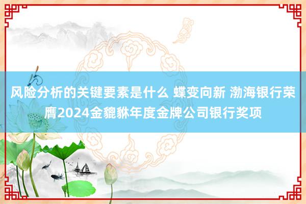 风险分析的关键要素是什么 蝶变向新 渤海银行荣膺2024金貔貅年度金牌公司银行奖项