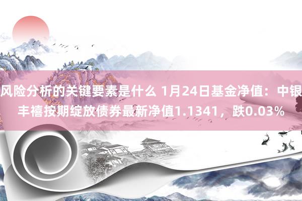 风险分析的关键要素是什么 1月24日基金净值：中银丰禧按期绽放债券最新净值1.1341，跌0.03%