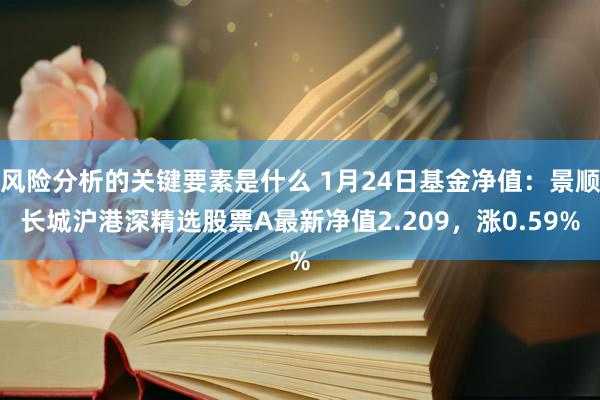 风险分析的关键要素是什么 1月24日基金净值：景顺长城沪港深精选股票A最新净值2.209，涨0.59%