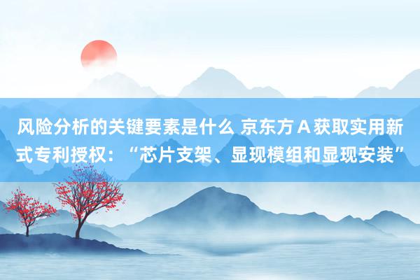 风险分析的关键要素是什么 京东方Ａ获取实用新式专利授权：“芯片支架、显现模组和显现安装”