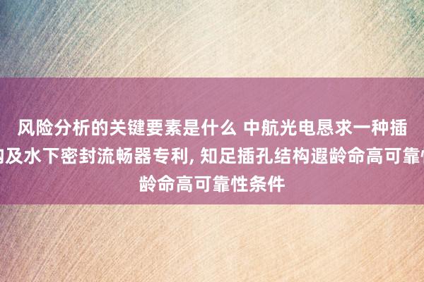 风险分析的关键要素是什么 中航光电恳求一种插孔结构及水下密封流畅器专利, 知足插孔结构遐龄命高可靠性条件